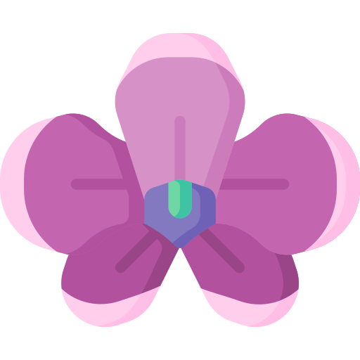Orchid